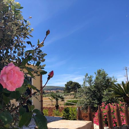 La Villa Dei Girasoli Custonaci Kültér fotó